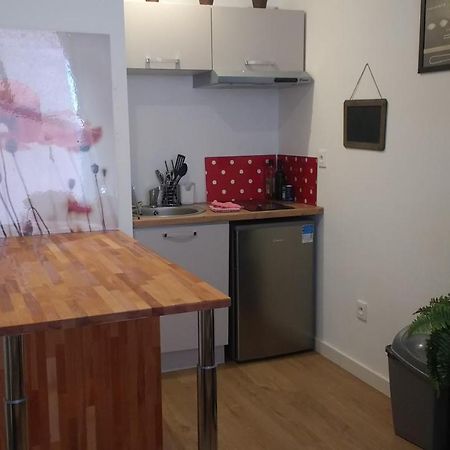 Palais De Justice Apartment Тулуза Екстериор снимка