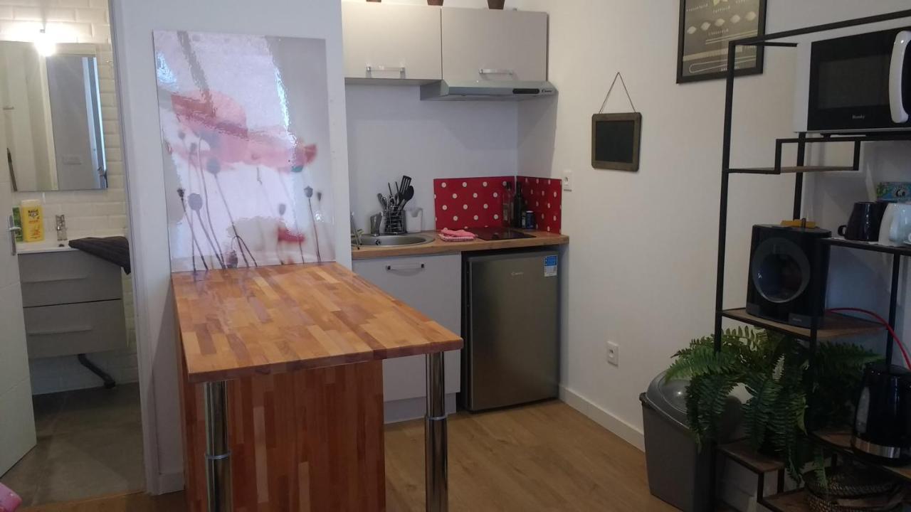 Palais De Justice Apartment Тулуза Екстериор снимка